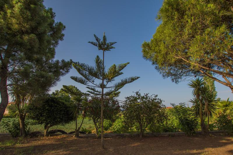Porto Giardino Apartments Psarou  Εξωτερικό φωτογραφία